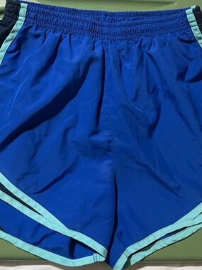 Nike Navy Shorts with Royal Blue Waistband